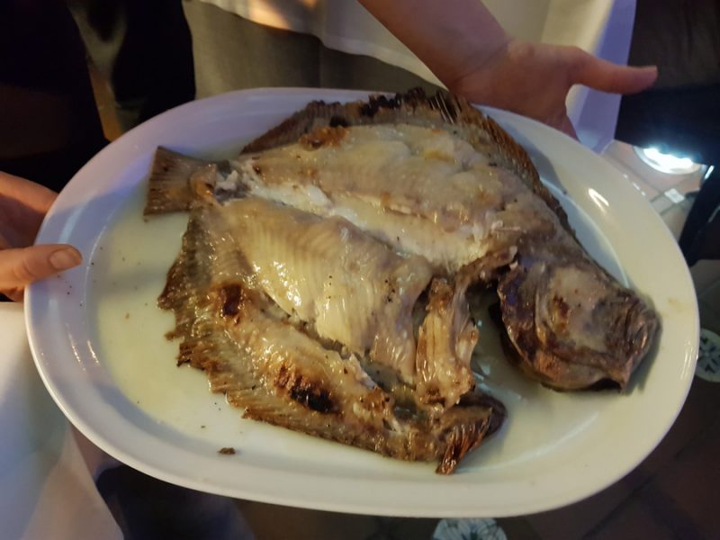 Our turbot as a whole ...