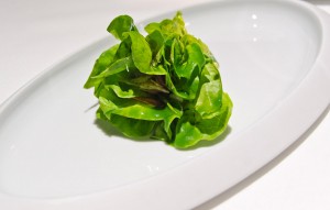 Caesar salad in Emilia