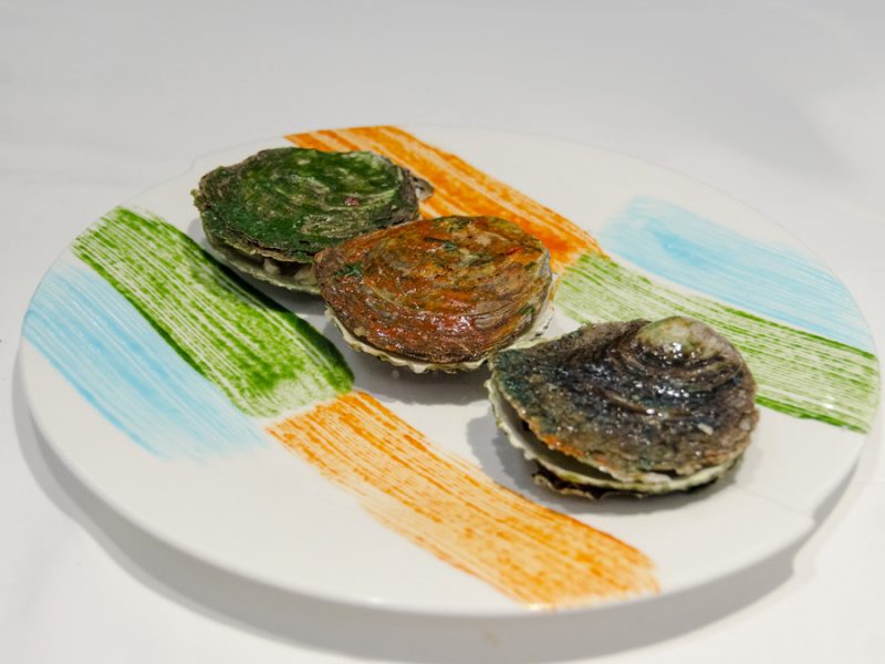 Oysters, color | Warm and colorful oysters, together with leek, pumpkin and blueberries