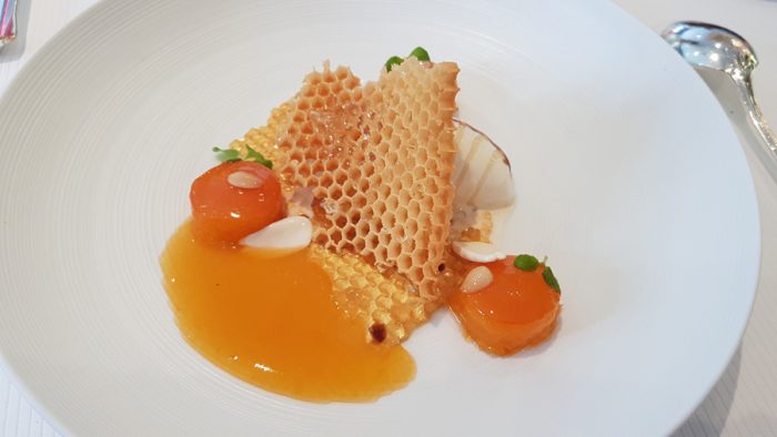 Honey & Apricot dessert